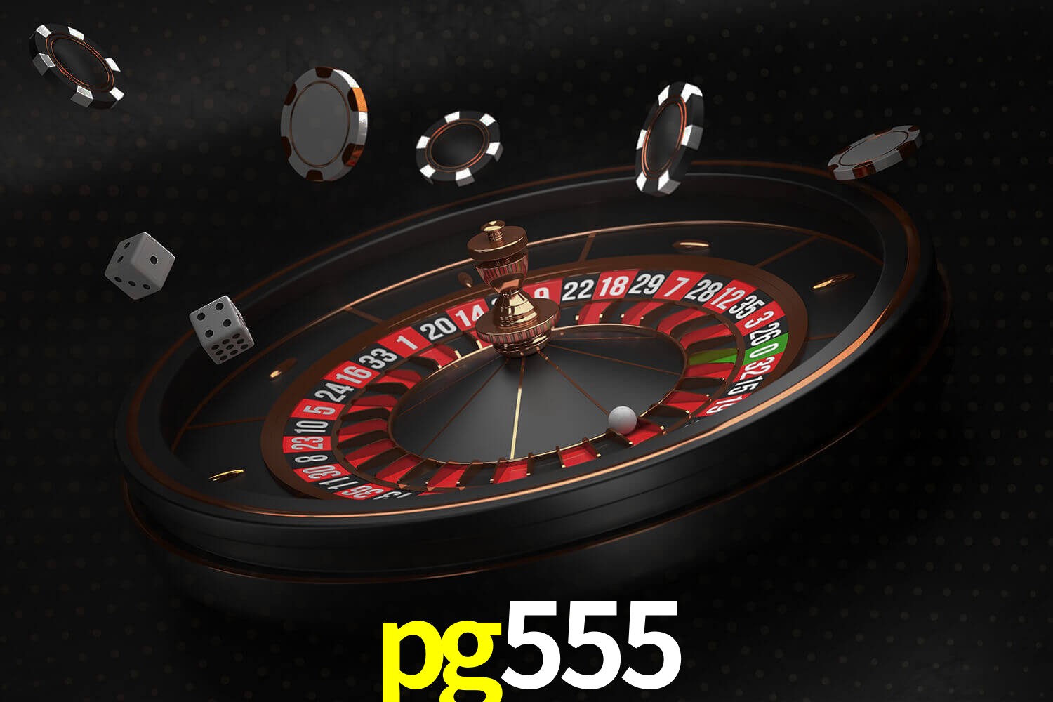 pg555.com